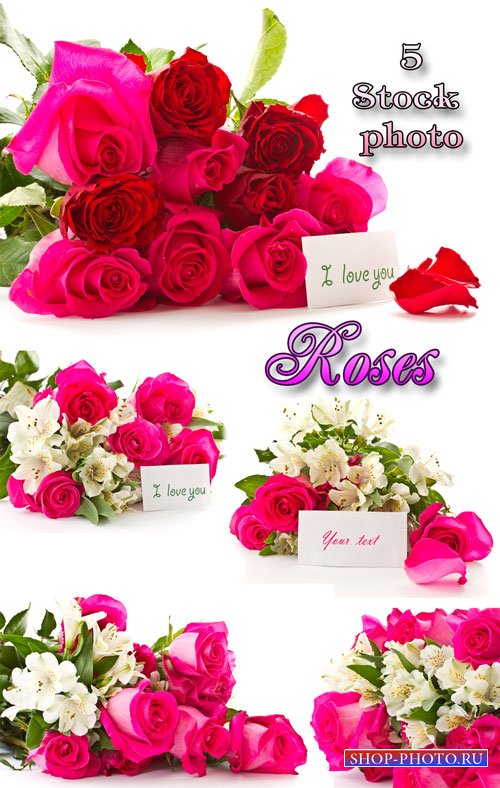 Розы, букеты роз с открытками для текста - растровый клипарт