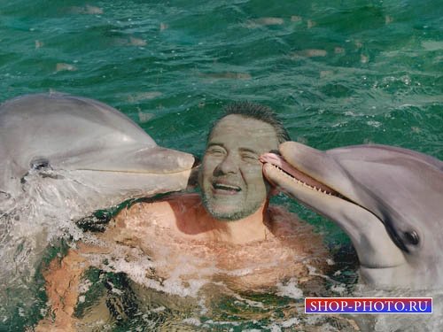 Шаблон для фотошоп - Поцелуй дельфинчика