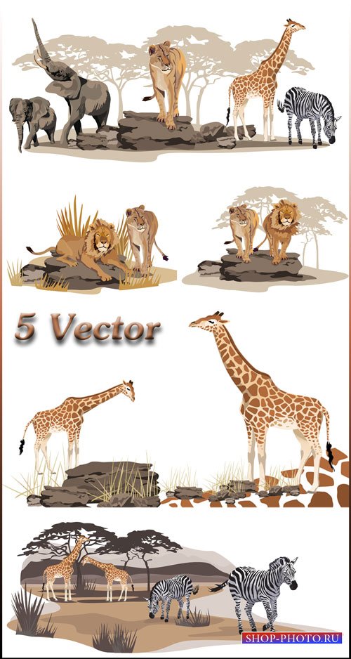 Жираф, слон, зебра, лев, животные - векторный клипарт