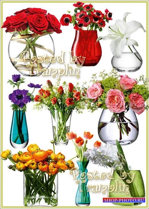 Клипарт – Цветы в вазах