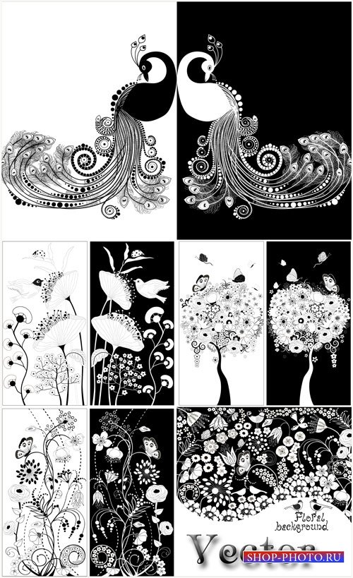 Цветочные фоны, цветочные орнаменты и бабочки,павлины в черно-белом цвете - ...