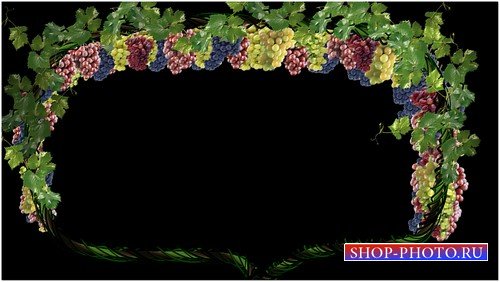 Футаж высокого качества - виноградная лоза