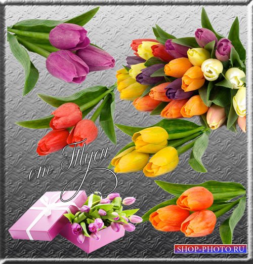 Клипарт – Дарите женщинам цветы необычайной красоты