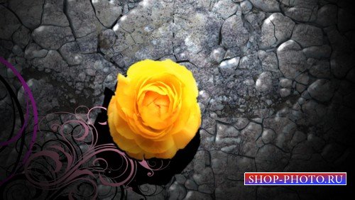 Футаж - Каменный цветок