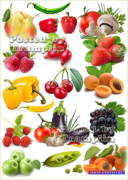 Клипарт – Овощи, фрукты, ягоды, грибы