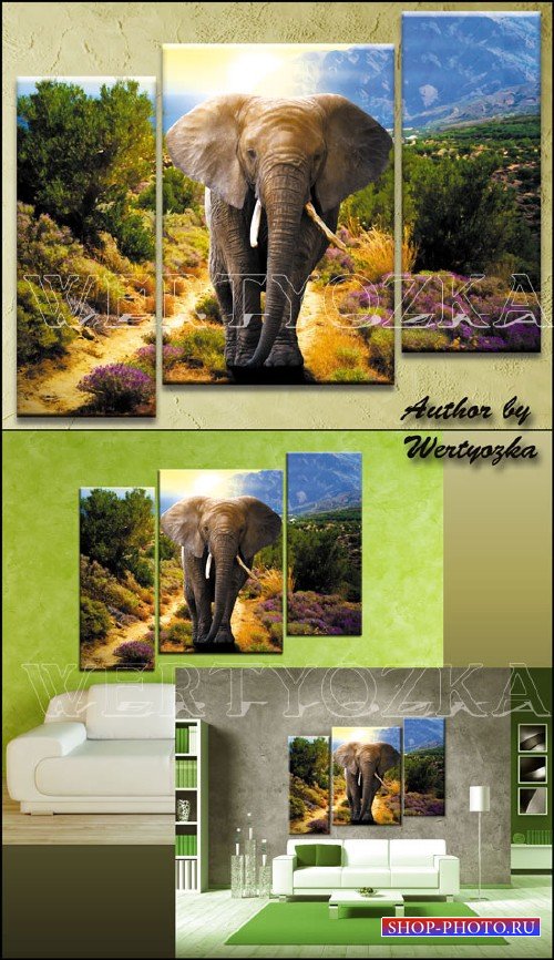 Слон на фоне природного пейзажа / Elephant - triptych in psd