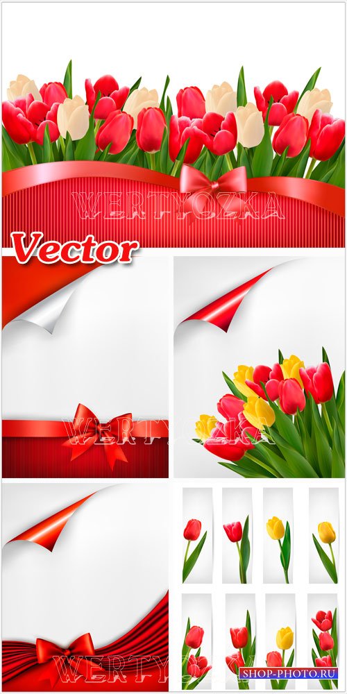Векторные фоны с тюльпанами / Vector background with tulips