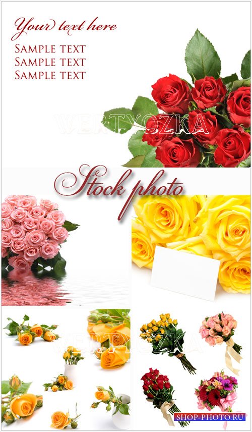 Цветы, прекрасные розы - растровый клипарт / Flowers, bouquets, roses