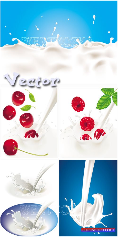 Вишня и малина в молоке / Cherry and raspberry in milk - vector