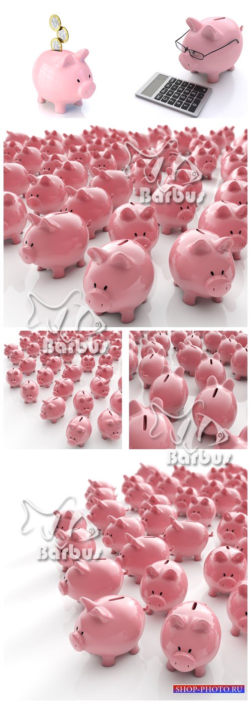 Pigs of a moneybox / Армия свинок копилок