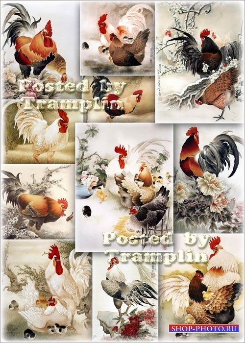 Китайская живопись – Петухи, куры, цыплята