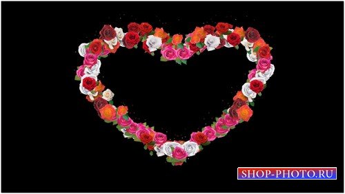 Футаж с альфаканалом - Сердце из роз