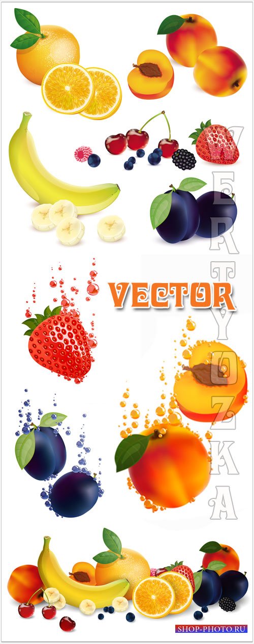 Фрукты в векторе, абрикос, банан, слива, клубника / Fruits vector, apricot, ...