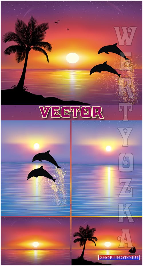 Морские пейзажи и дельфины / Seascapes and the dolphins - Vector clipart