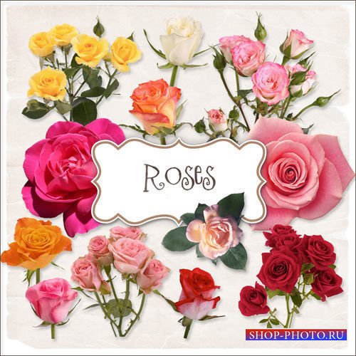 Цветочный скрап-комплект - Розы