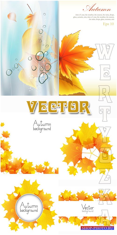 Осень, осенние листья / Autumn, autumn leaves - vector