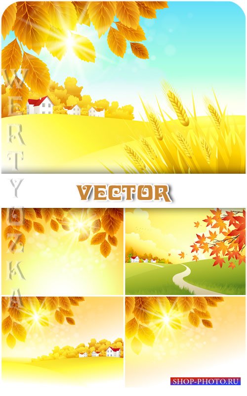 Осенние природные фоны, пейзаж / Autumn natural background, landscape - vec ...