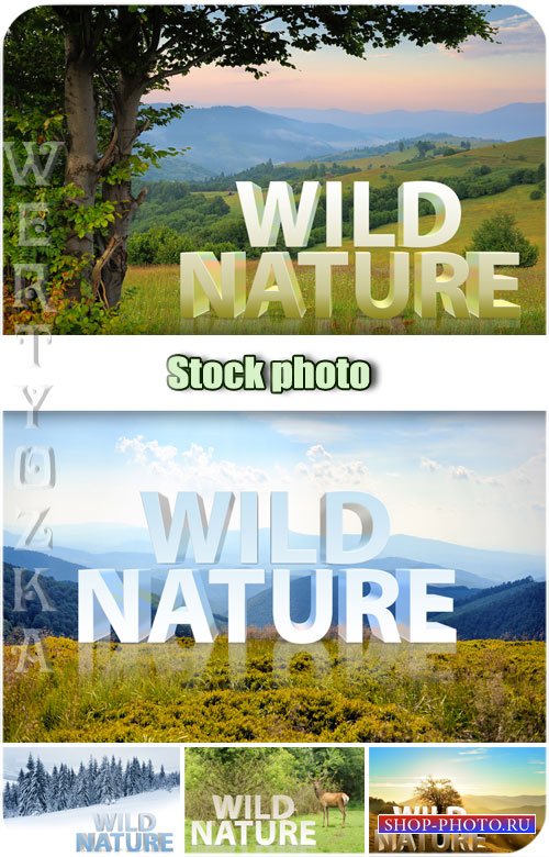 Дикая природа, пейзажи / Wild nature, landscapes - Raster clipart