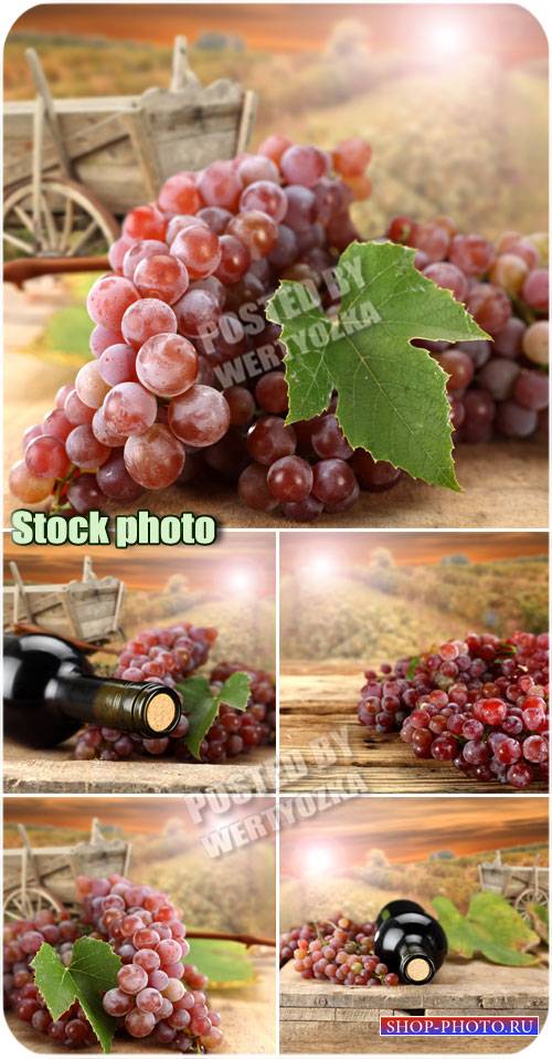 Виноград и бутылка вина на фоне рассвета / Grapes - stock photos
