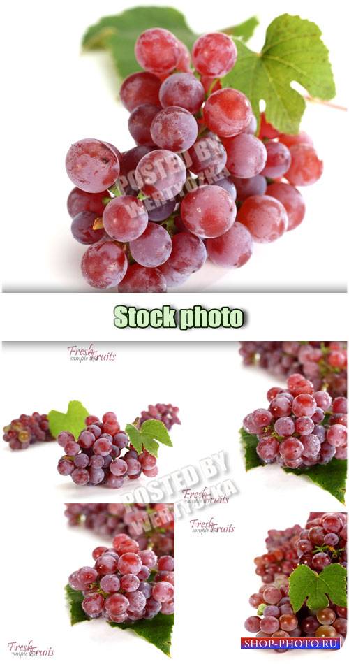 Виноград на белом фоне / Grapes on a white background - stock photo