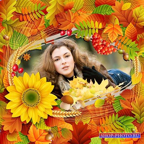 Осенняя рамка для фотошопа с красивыми листьями, пшеницей и рябиной