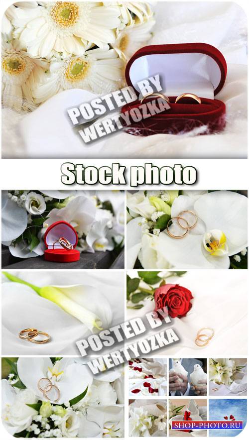 Свадебные коллажи, обручальные кольца и цветы / Wedding collage - stock pho ...