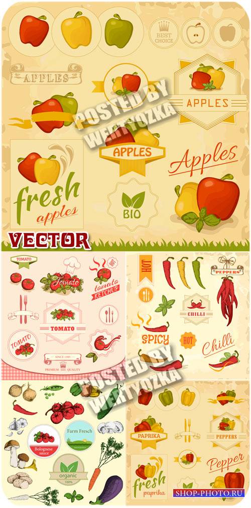 Винтажные этикетки с различными овощами / Vintage labels - stock vector