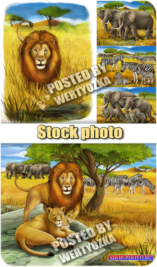 Лев, слоны и зебры / Lion, elephant and zebra - stock photos