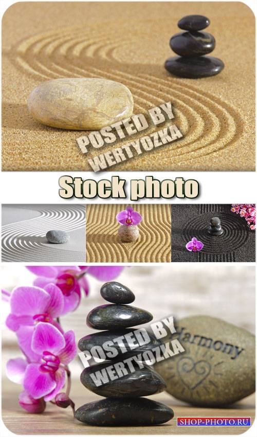 Спа фоны с орхидеями и камнями / Spa background with orchids and stones - stock photos
