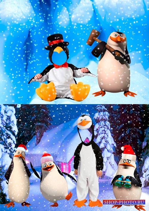 Шаблоны для фотошопа – Веселые пингвины