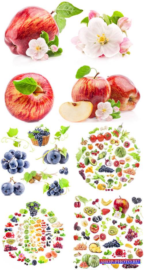 Свежие фрукты, яблоки, виноград - сток фото