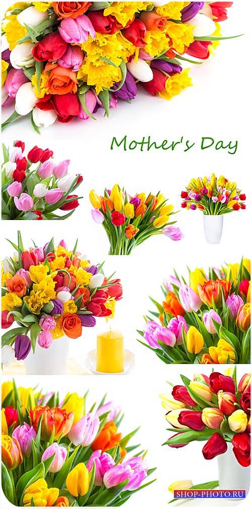 Тюльпаны,  день матери - сток фото