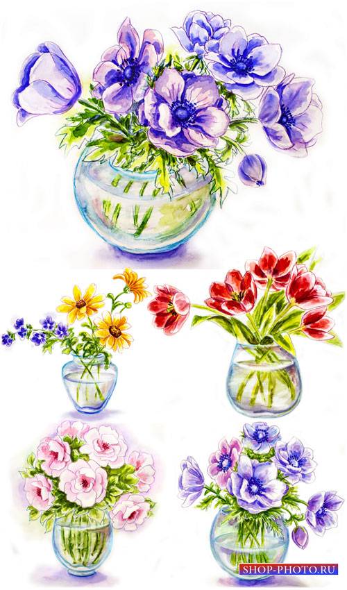 Красивые цветы в вазах, вектор