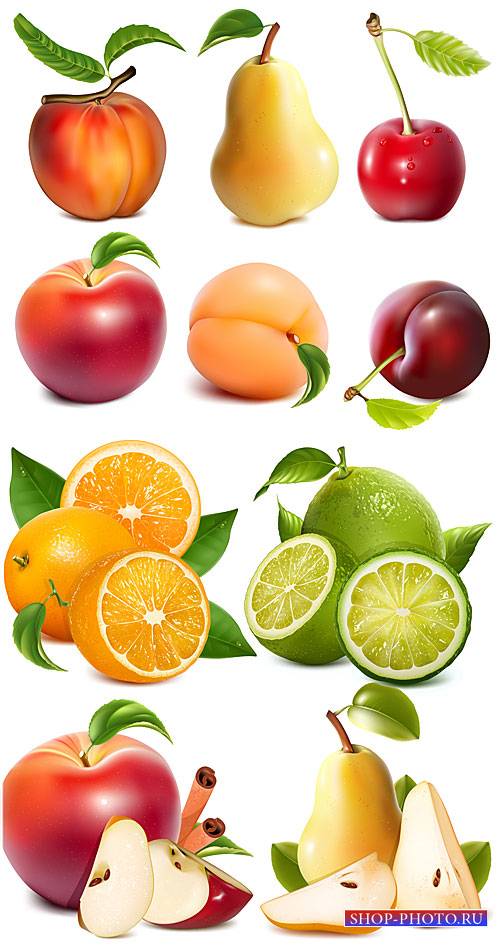 Яблоки, груши, персик, апельсин, фрукты в векторе