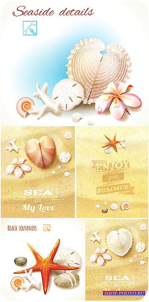 Морские фоны в векторе, цветы франжипани, ракушки на песке