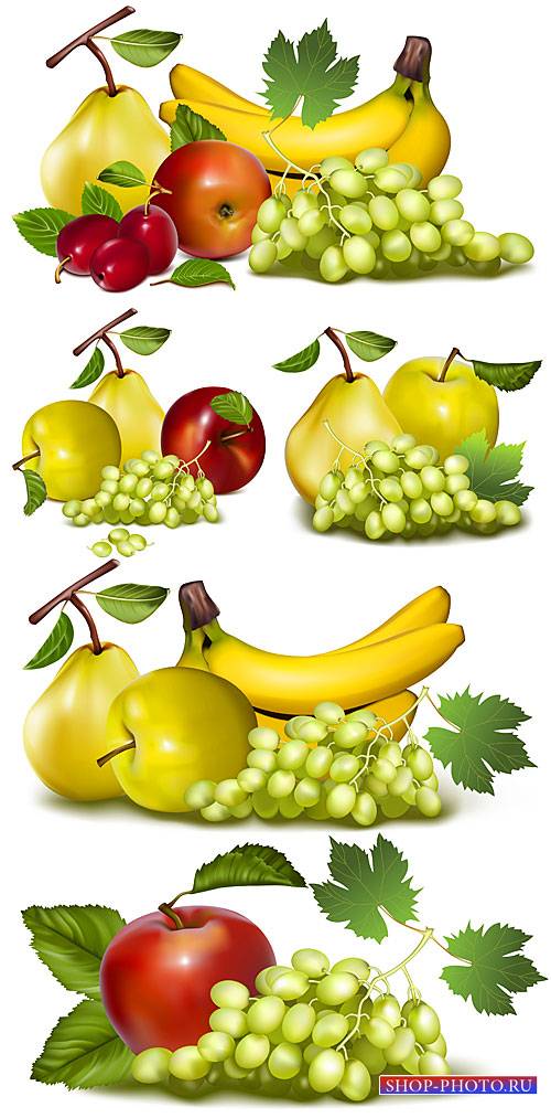Виноград, бананы, яблоки и груши в векторе » Чудо Шаблоны Фотошопа