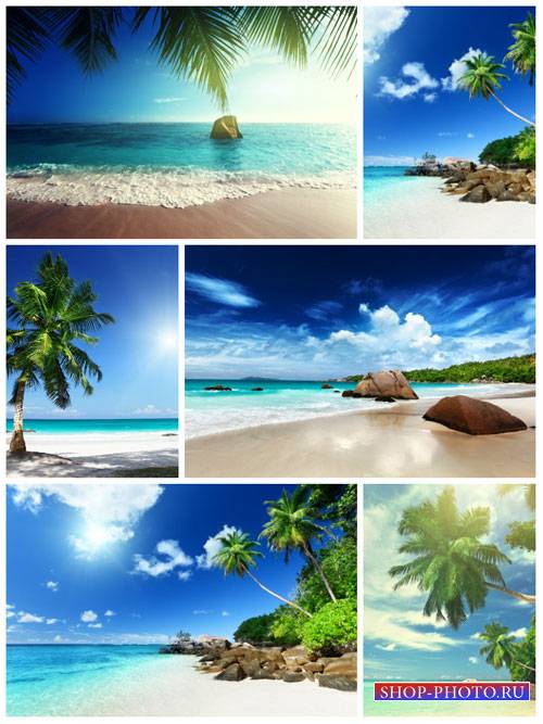 Морские пейзажи, море, пальмы - сток фото