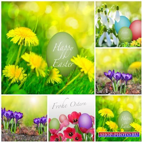 Пасха, весенние фоны с цветами / Easter, spring background with flowers - S ...