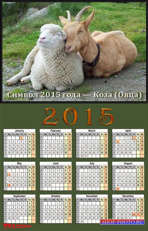 Шуточный Календарь 2015 года - Символ 2015 года овца