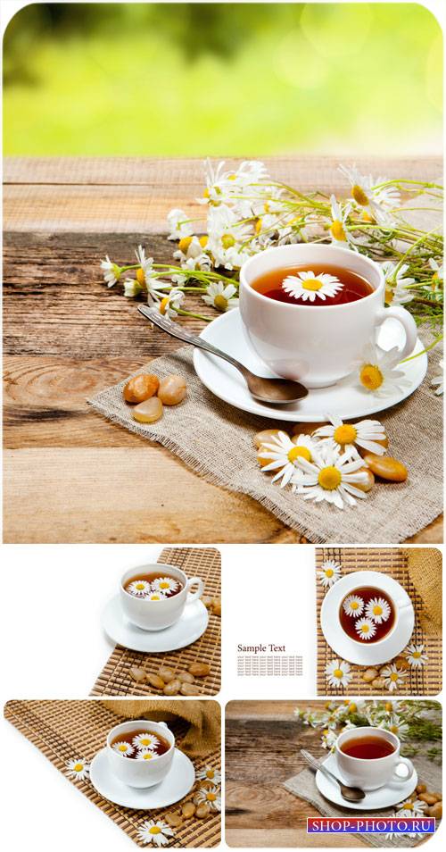 Чай с ромашкой / Chamomile tea - Stock Photo