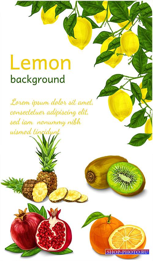 Лимон, киви, гранат и ананас в векторе / Lemon, kiwi, pomegranate and pinea ...