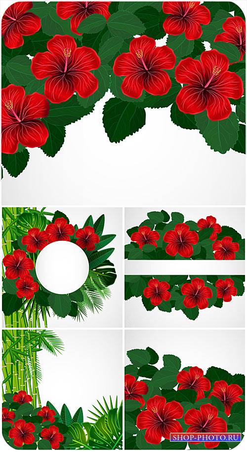 Гибискус, тропические растения в векторе / Hibiscus, tropical plants vector
