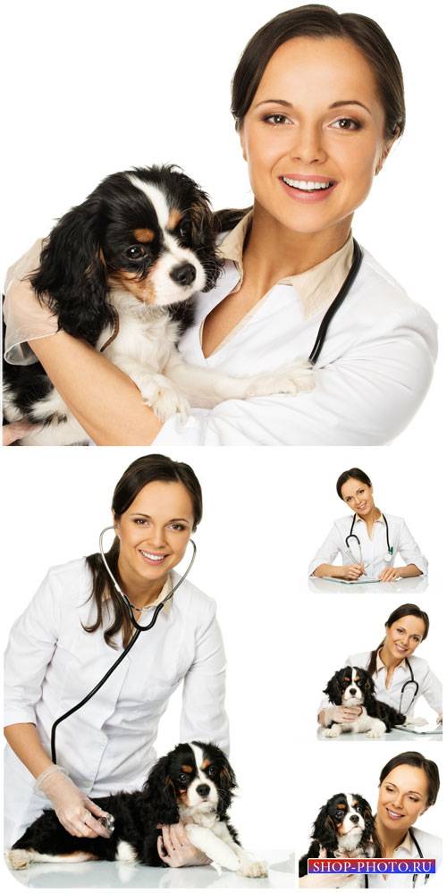 Ветеренарный доктор с собачкой / Veterinary doctor with a dog - Stock Photo