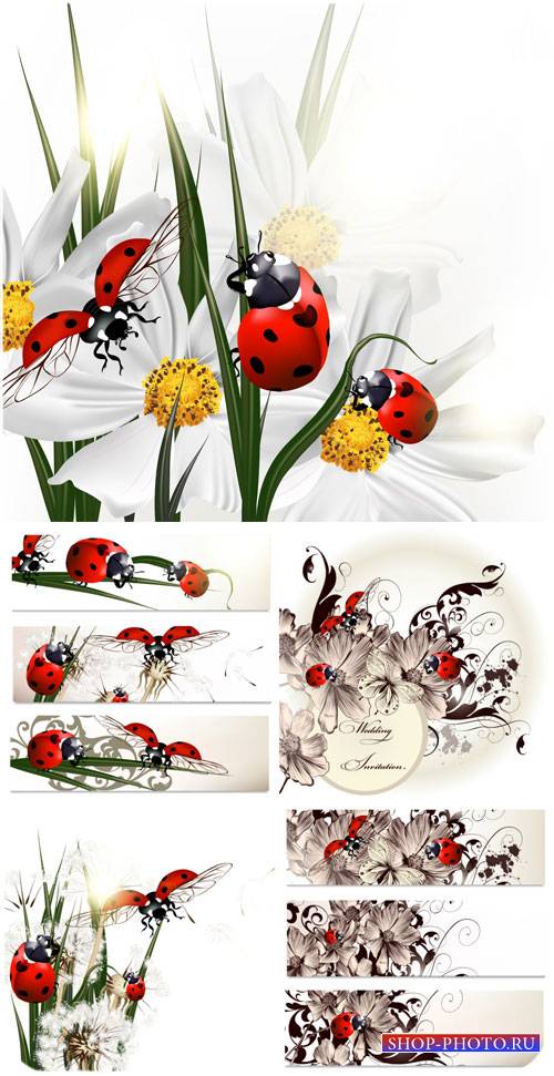 Цветы и божьи коровки, баннеры и фоны в векторе / Flowers and ladybugs, ban ...