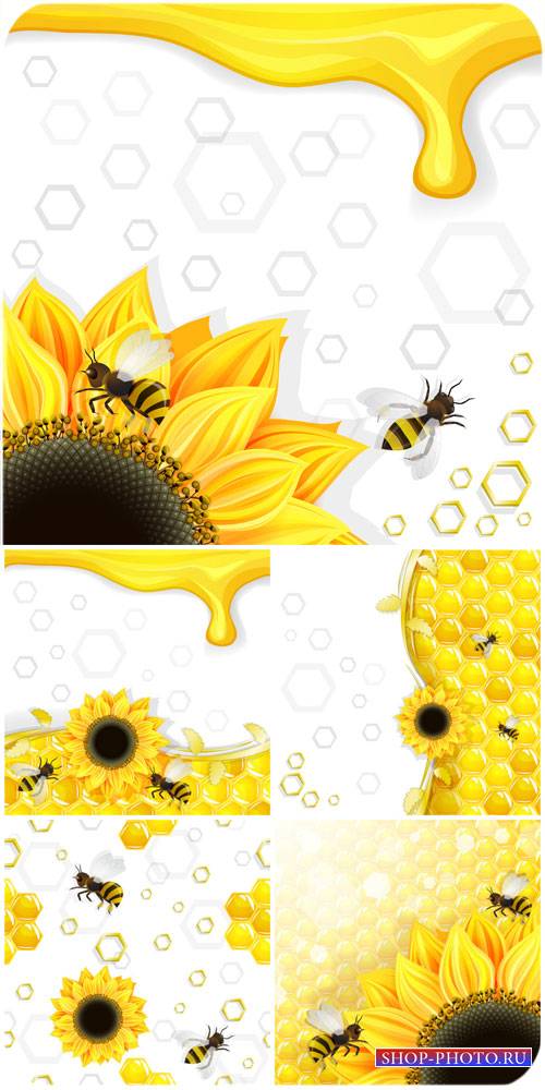 Мед, подсолнухи и пчелы в векторе / Honey, bees and sunflowers vector