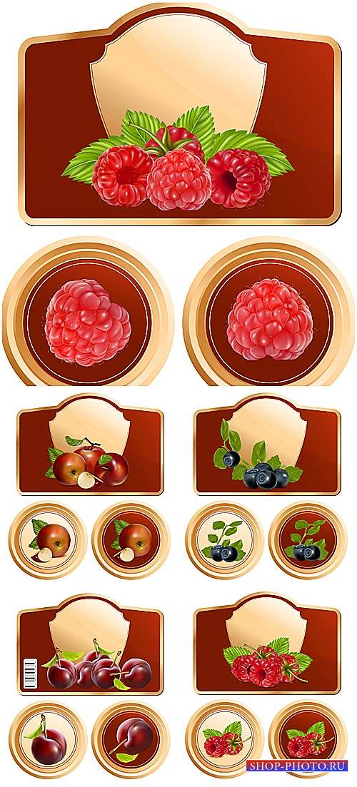 Этикетки с ягодами и фруктами в векторе / Labels with berries and fruits vector