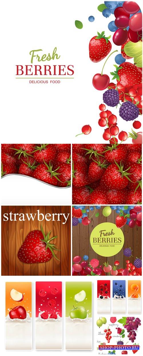 Фрукты, векторные фоны и баннеры с фруктами и ягодами / Fruits, vector backgrounds and banners with fruits and berries
