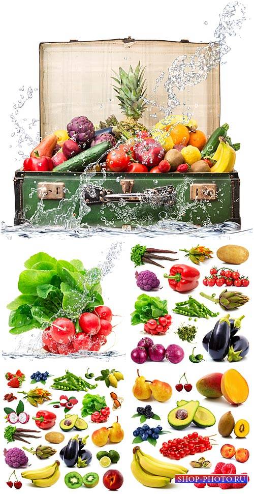 Фрукты, овощи, экзотические фрукты / Fruits, vegetables, exotic fruits - St ...