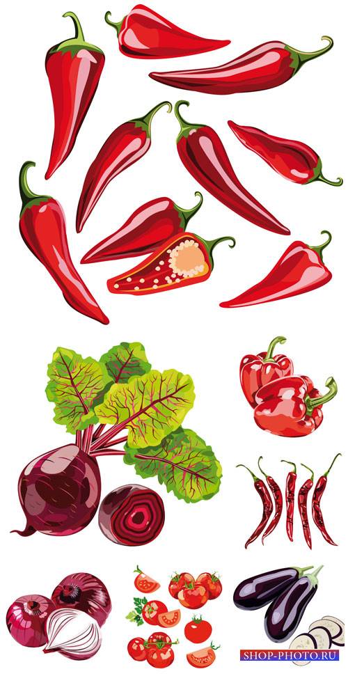 Овощи в векторе, перец, лук, томаты / Vector vegetables, peppers, onions, t ...