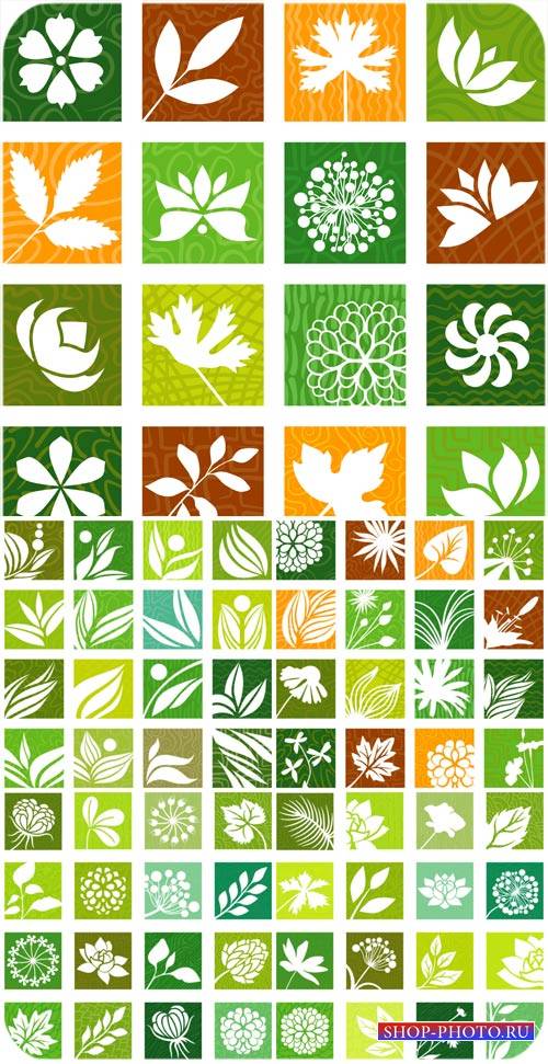 Природа, листья в векторе / Nature, leaves vector